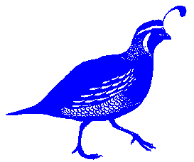 Quail